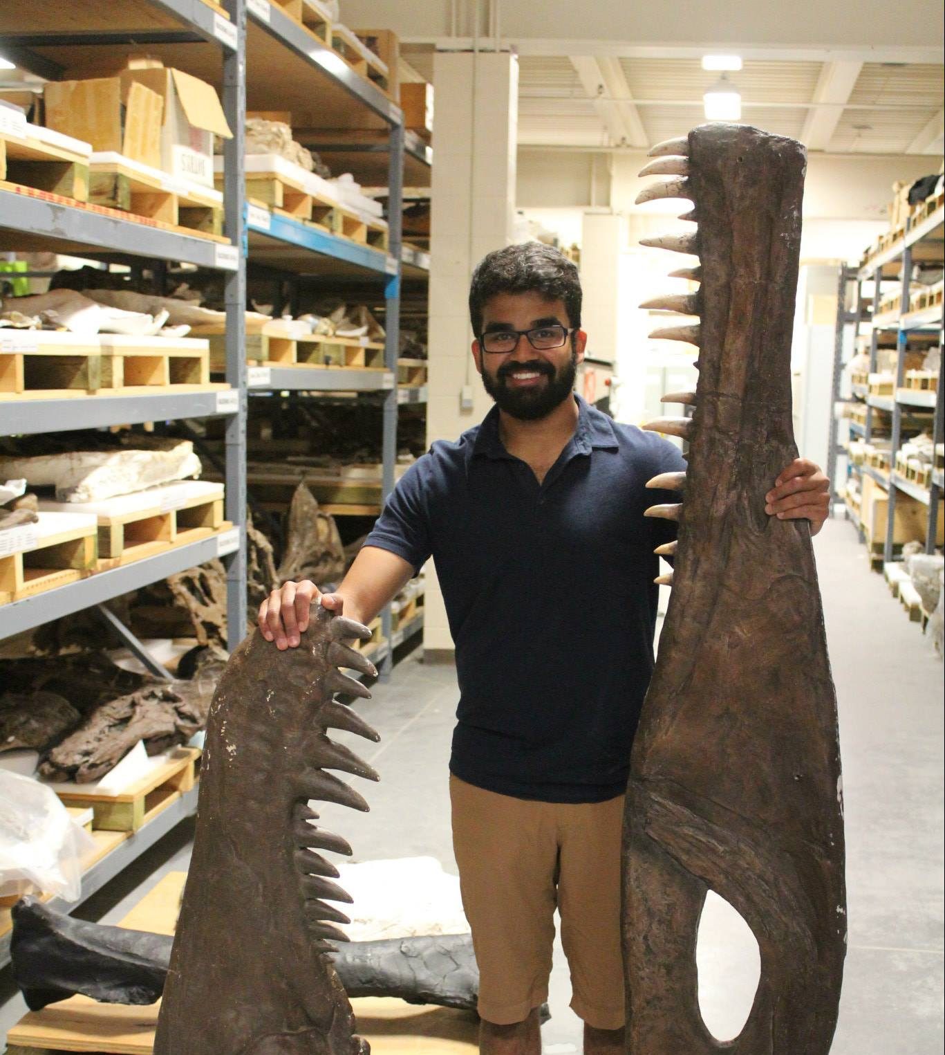 Paleontologist The Influential Team